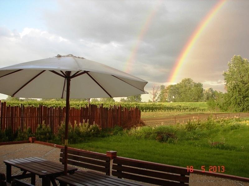 Gosciniec Kocmierzow Bed & Breakfast Сандомир Екстериор снимка